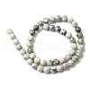 Natural Peace Jade Beads Strands G-E598-04B-3