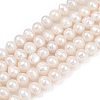 Natural Cultured Freshwater Pearl Beads Strands PEAR-I007-07X-09A-2