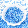 Glass Bugle Beads SEED-N007-28E-2