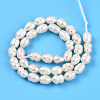 Natural Cultured Freshwater Pearl Beads Strands PEAR-N012-03O-2