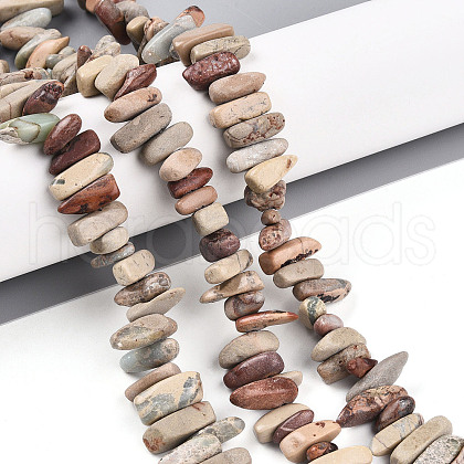 Natural Aqua Terra Jasper Beads Strands G-T140-64-1