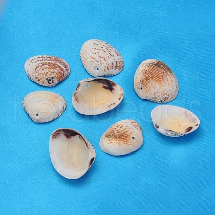 Natural Clam Shell Beads BSHE-S114-1