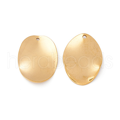 304 Stainless Steel Pendants STAS-G270-03D-G-1