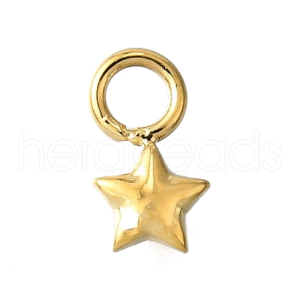 304 Stainless Steel Charms STAS-H233-14G-1