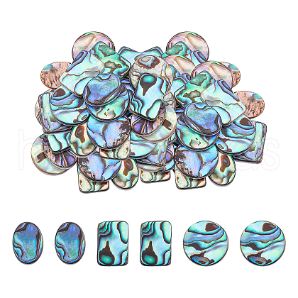 Natural Abalone Shell/Paua Shell Cabochons SSHEL-FH0001-04-1