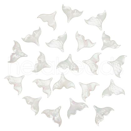 WADORN 20Pcs Natutal Shell Pendants SHEL-WR0001-05-1