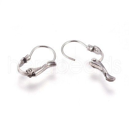 Tarnish Resistant 304 Stainless Steel Leverback Earring Findings STAS-E460-04P-1