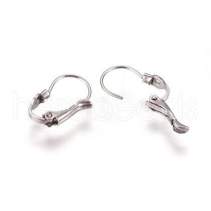 304 Stainless Steel Leverback Earring Findings STAS-E460-04P-1