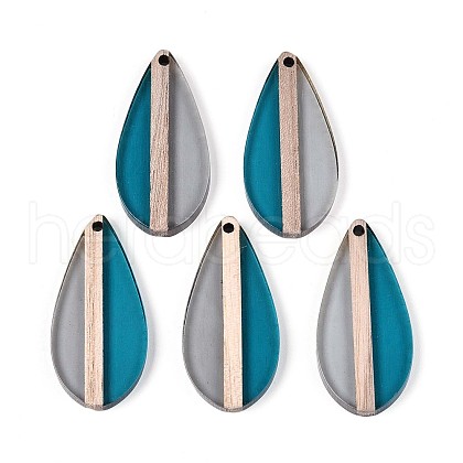 Transparent Resin & Wood Pendants RESI-T057-59A-1