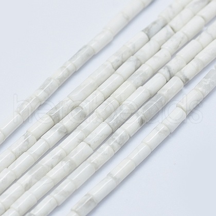 Natural Howlite Beads Strands G-F631-B08-1