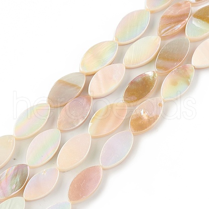 Natural Freshwater Shell Beads Strands SHEL-T009-22-1