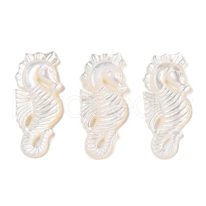Natural White Shell Carved Pendants SSHEL-C012-05-1