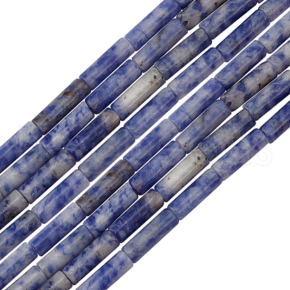 Olycraft 2 Strands Natural Blue Spot Gemstone Beads Strands G-OC0004-90-1