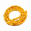 Natural Freshwater Shell Beads Strands SHEL-N026-212-B05-2