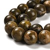 Natural Bumblebee Jasper Beads Strands G-G053-A01-02-4