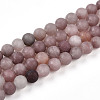 Natural Purple Aventurine Beads Strands G-T106-278-1