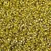 Baking Paint Silver Lined Glass Seed Beads SEED-H003-09E-2