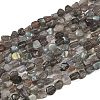 Natural Labradorite Beads Strands G-Q060-E20-01-2