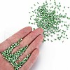 8/0 Glass Seed Beads SEED-S006-34-5