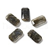 Natural Mixed Stone Cabochons G-C057-04B-2