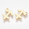 Ion Plating(IP) 304 Stainless Steel Charms X-STAS-S107-06C-1