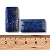 Natural Lapis Lazuli Pendants G-G063-01D-3