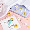 SUPERFINDINGS 110Pcs 6 Style Flatback Hair & Costume Accessories Ornaments Scrapbook Embellishments Resin Flower Daisy Cabochons CRES-FH0001-08-5