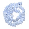 Natural Blue Lace Agate Chip Beads Strands G-NH0016-J01-01-2
