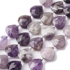Natural Amethyst Beads Strands G-P570-E17-02-2