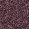TOHO Round Seed Beads SEED-JPTR15-0201-2