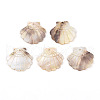 Natural Freshwater Shell Carved Pendants SHEL-N036-15-1