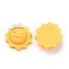 Resin Cabochons CRES-J043-09A-2