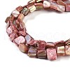 Dyed Natural Freshwater Shell Beads Strands SHEL-P016-01G-3