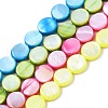 Freshwater Shell Beads Strands SHEL-T009-B16-1
