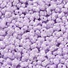 Glass Seed Beads SEED-K009-02A-05-3