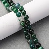Natural Fuchsite Beads Strands G-K393-A02-6mm-1