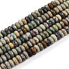 Natural Aqua Terra Jasper Beads Strands G-T140-83-4