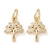 Rack Plating Brass Micro Pave Clear Cubic Zirconia Charms KK-D097-05G-1