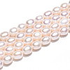 Natural Cultured Freshwater Pearl Beads Strands PEAR-N012-06Z-01-5