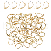 DICOSMETIC 60Pcs 304 Stainless Steel Leverback Earrings Findings STAS-DC0015-92-1