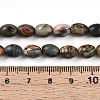 Natural Picasso Jasper/Polychrome Jasper Beads Strands G-N346-02B-05-5