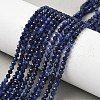 Natural Sodalite Beads Strands G-L622-C04-3mm-1