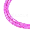 Natural Freshwater Shell Beads Strands BSHE-H109-17B-4