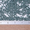 MIYUKI Delica Beads SEED-X0054-DB0264-4