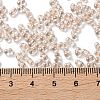 Glass Seed Beads SEED-L011-05B-04-4