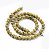 Natural Verdite Stone Beads Strands G-C242-03A-3