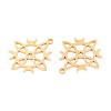 304 Stainless Steel Pendants STAS-N108-39G-2
