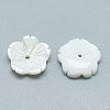 Freshwater Shell Beads SHEL-S275-009-2