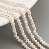 Natural Cultured Freshwater Pearl Beads Strands PEAR-C003-06F-1