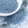 MIYUKI Round Rocailles Beads X-SEED-G007-RR0028-1